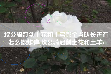 坎公骑冠剑土花和土弓哪个当队长还有怎么搬炸弹(坎公骑冠剑土花和土羊)