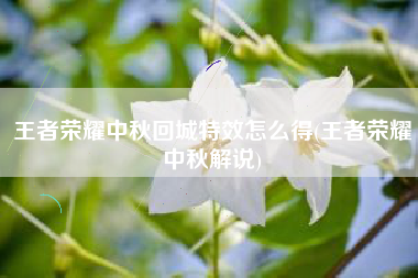 王者荣耀中秋回城特效怎么得(王者荣耀中秋解说)