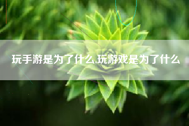 玩手游是为了什么,玩游戏是为了什么