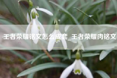 王者荣耀铭文怎么成套_王者荣耀肉铭文