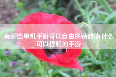 有哪些单机手游可以自由换装的,有什么可以捏脸的手游