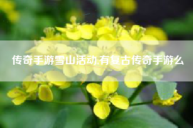 传奇手游雪山活动,有复古传奇手游么