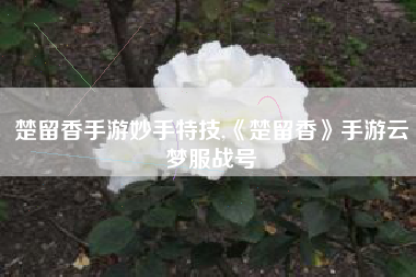 楚留香手游妙手特技,《楚留香》手游云梦服战号