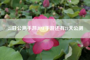 21日公测手游,DNF手游还有21天公测
