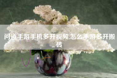 问道手游手机多开视频,怎么手游多开搬砖