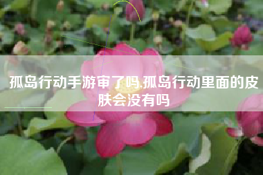 孤岛行动手游审了吗,孤岛行动里面的皮肤会没有吗
