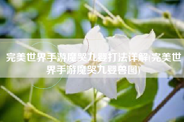 完美世界手游魔哭九婴打法详解(完美世界手游魔哭九婴兽图)
