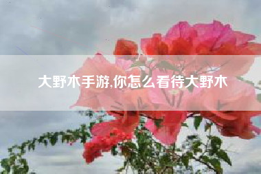 大野木手游,你怎么看待大野木