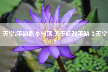 天堂2手游副本扫荡,关于端改手游《天堂2
