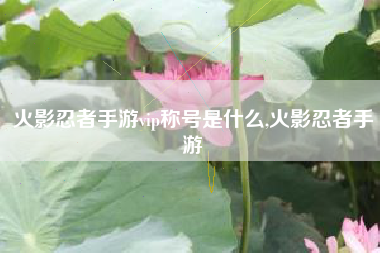 火影忍者手游vip称号是什么,火影忍者手游