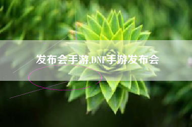 发布会手游,DNF手游发布会