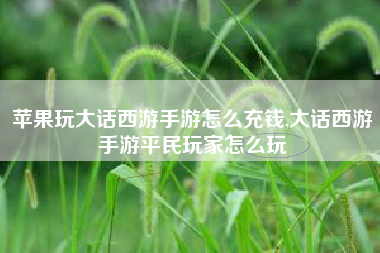 苹果玩大话西游手游怎么充钱,大话西游手游平民玩家怎么玩