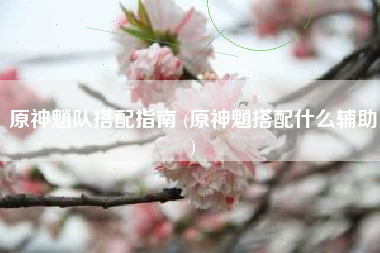 原神魈队搭配指南 (原神魈搭配什么辅助)