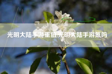 光明大陆手游重值,光明大陆手游氪吗
