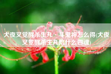 犬夜叉觉醒杀生丸·斗鬼神怎么得(犬夜叉觉醒杀生丸陪什么四魂)