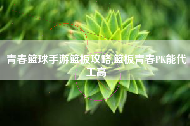 青春篮球手游篮板攻略,篮板青春PK能代工高