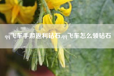 qq飞车手游返利钻石,qq飞车怎么领钻石