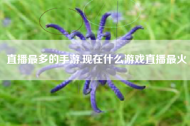 直播最多的手游,现在什么游戏直播最火