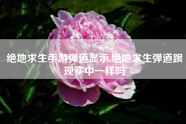 绝地求生手游弹道显示,绝地求生弹道跟现实中一样吗