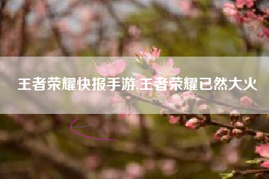 王者荣耀快报手游,王者荣耀已然大火