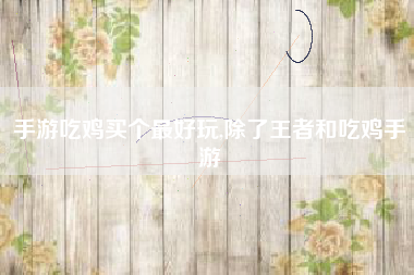 手游吃鸡买个最好玩,除了王者和吃鸡手游