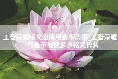 王者荣耀铭文如何用金币购买_王者荣耀一万金币能换多少铭文碎片