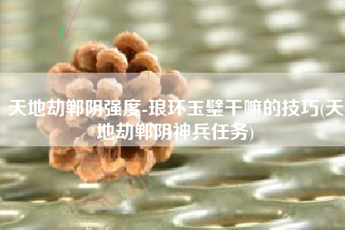 天地劫郸阴强度-琅环玉璧干嘛的技巧(天地劫郸阴神兵任务)