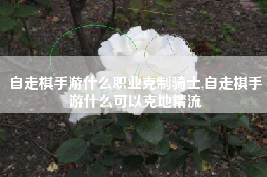 自走棋手游什么职业克制骑士,自走棋手游什么可以克地精流
