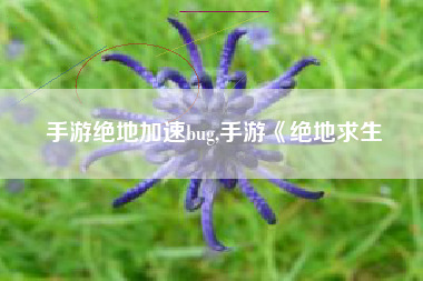 手游绝地加速bug,手游《绝地求生