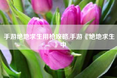 手游绝地求生用枪攻略,手游《绝地求生》中