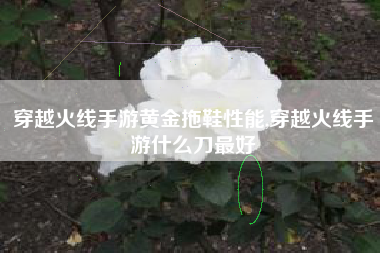 穿越火线手游黄金拖鞋性能,穿越火线手游什么刀最好