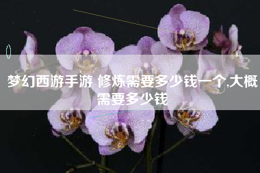 梦幻西游手游 修炼需要多少钱一个,大概需要多少钱