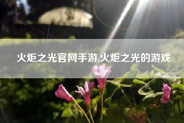 火炬之光官网手游,火炬之光的游戏