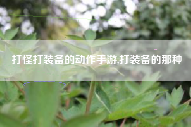 打怪打装备的动作手游,打装备的那种