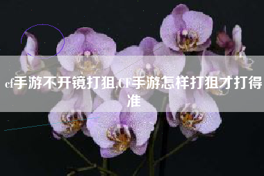 cf手游不开镜打狙,CF手游怎样打狙才打得准