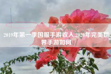 2019年第一季国服手游收入,2020年完美世界手游如何