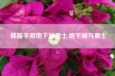 韩服手游地下城勇士,地下城与勇士