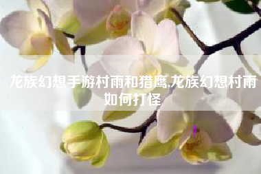 龙族幻想手游村雨和猎鹰,龙族幻想村雨如何打怪