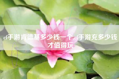 cf手游肯德基多少钱一个,cf手游充多少钱才值得玩