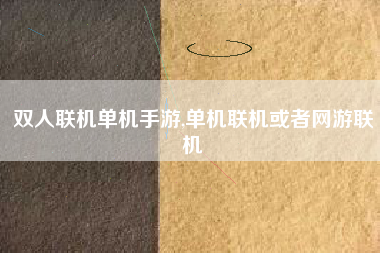 双人联机单机手游,单机联机或者网游联机