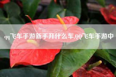 qq飞车手游新手开什么车,QQ飞车手游中