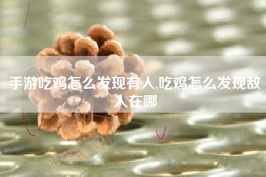 手游吃鸡怎么发现有人,吃鸡怎么发现敌人在哪