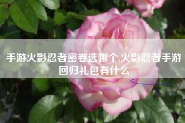 手游火影忍者密卷选哪个,火影忍者手游回归礼包有什么