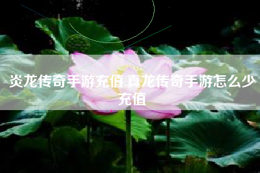 炎龙传奇手游充值,真龙传奇手游怎么少充值