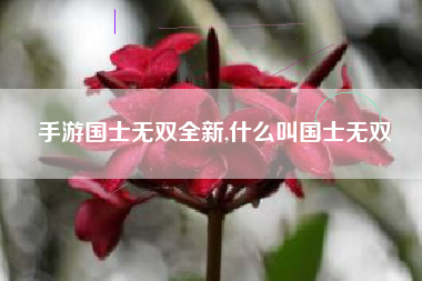 手游国士无双全新,什么叫国士无双