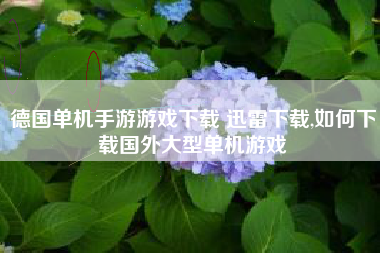 德国单机手游游戏下载 迅雷下载,如何下载国外大型单机游戏