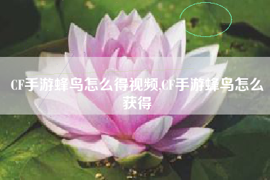 CF手游蜂鸟怎么得视频,CF手游蜂鸟怎么获得