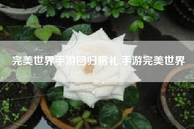完美世界手游回归赠礼,手游完美世界