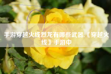 手游穿越火线烈龙有哪些武器,《穿越火线》手游中