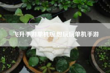 飞升手游单机版,想玩玩单机手游